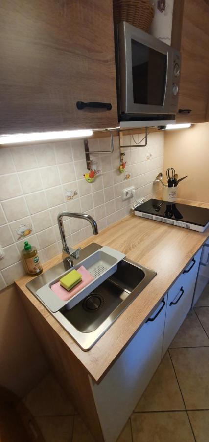 Ferienwohnung Zur Ellernmuehle Bad Suderode Eksteriør bilde